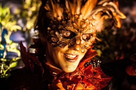 The party has encountered a KNG FWX.